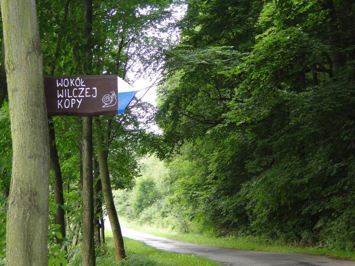 Oldrzychowice Klodzkie罗曼诺卡旅馆别墅 外观 照片